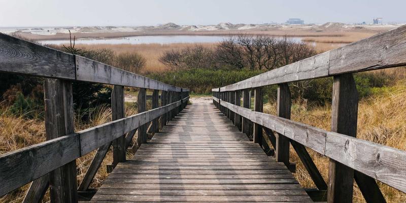 从自然到设计：生物仿生学如何重塑可持续产品的营销策划与视觉识别