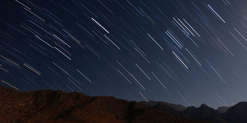 从自然到设计：生物仿生学如何重塑数字设计与品牌策划的创新路径