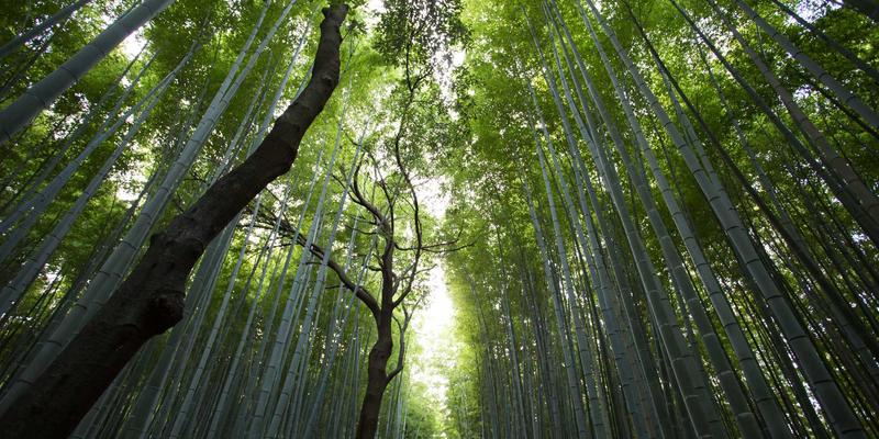创意设计48：数字设计、营销策划与品牌设计的融合之道