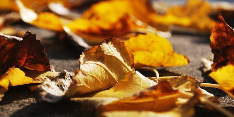 创意设计95：品牌策划、营销策划与品牌设计的战略三角