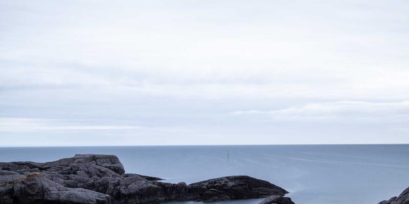 创意设计98：品牌设计、品牌策划与营销策划的协同进化论