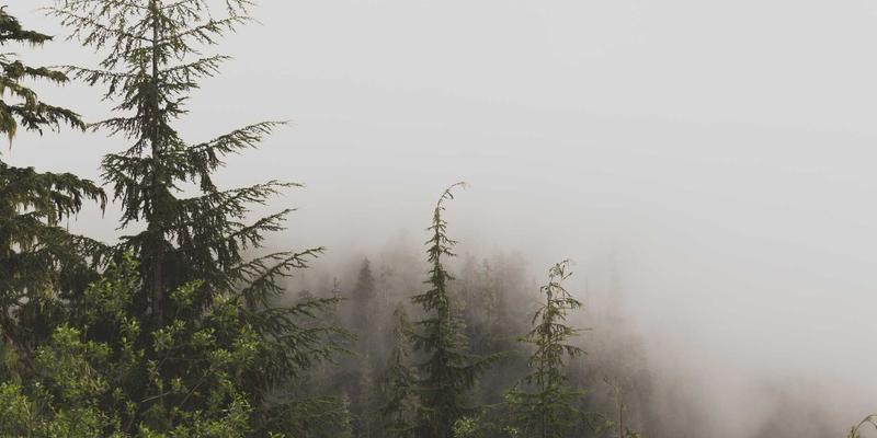 创意设计如何赋能营销策划与品牌策划，打造市场差异化竞争力