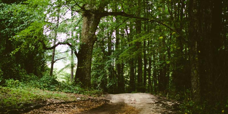 创意设计新纪元：视觉识别、品牌策划与营销策划的融合之道