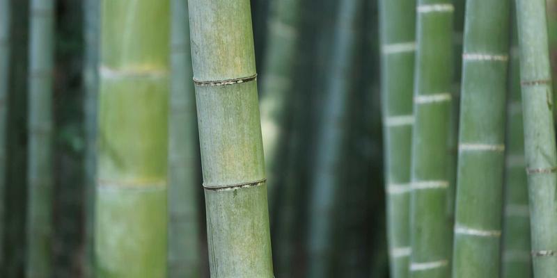 动态视觉识别系统：数字时代的品牌营销策划与设计革命