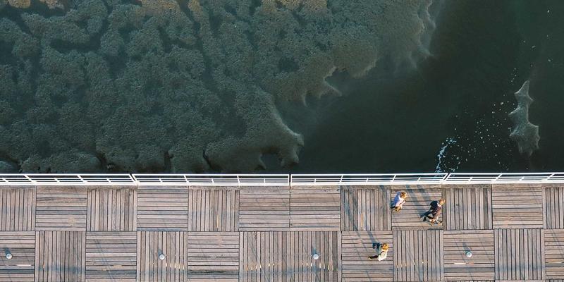 品牌设计与数字营销新视野：数据可视化如何平衡创意表达与信息传达效率