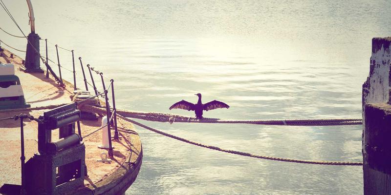 数字设计驱动品牌梦想：触点创新如何重塑全渠道服务体验