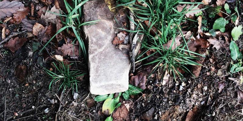 服务设计思维：如何以视觉识别与营销策划重塑品牌体验，驱动商业增长