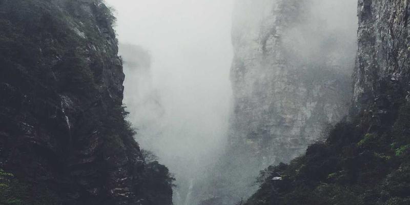 模块化与适应性设计：构建动态视觉识别与品牌策划的未来框架