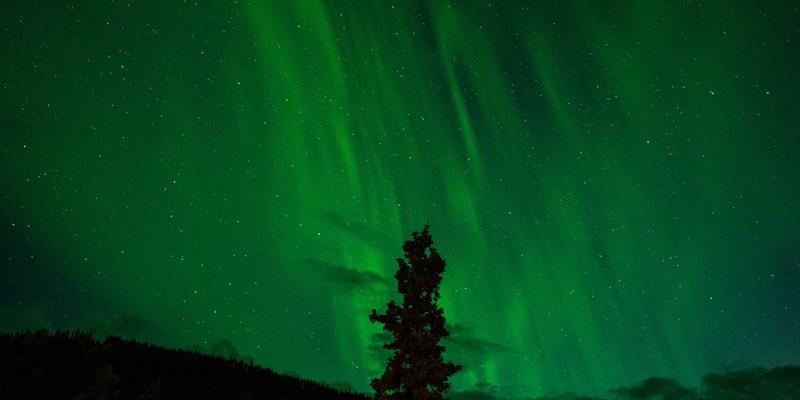 游戏化设计机制：BQ梦想驱动的营销策划与创意设计新范式