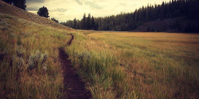 营销策划与品牌设计的视觉引擎：数据可视化如何成就BQ梦想